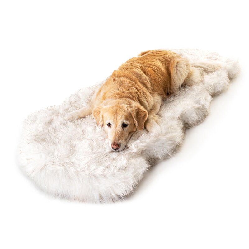 Paw Brands Puprug Runner Faux Fur Memory Foam Dog Curve Mat Reviews Wayfair Canada